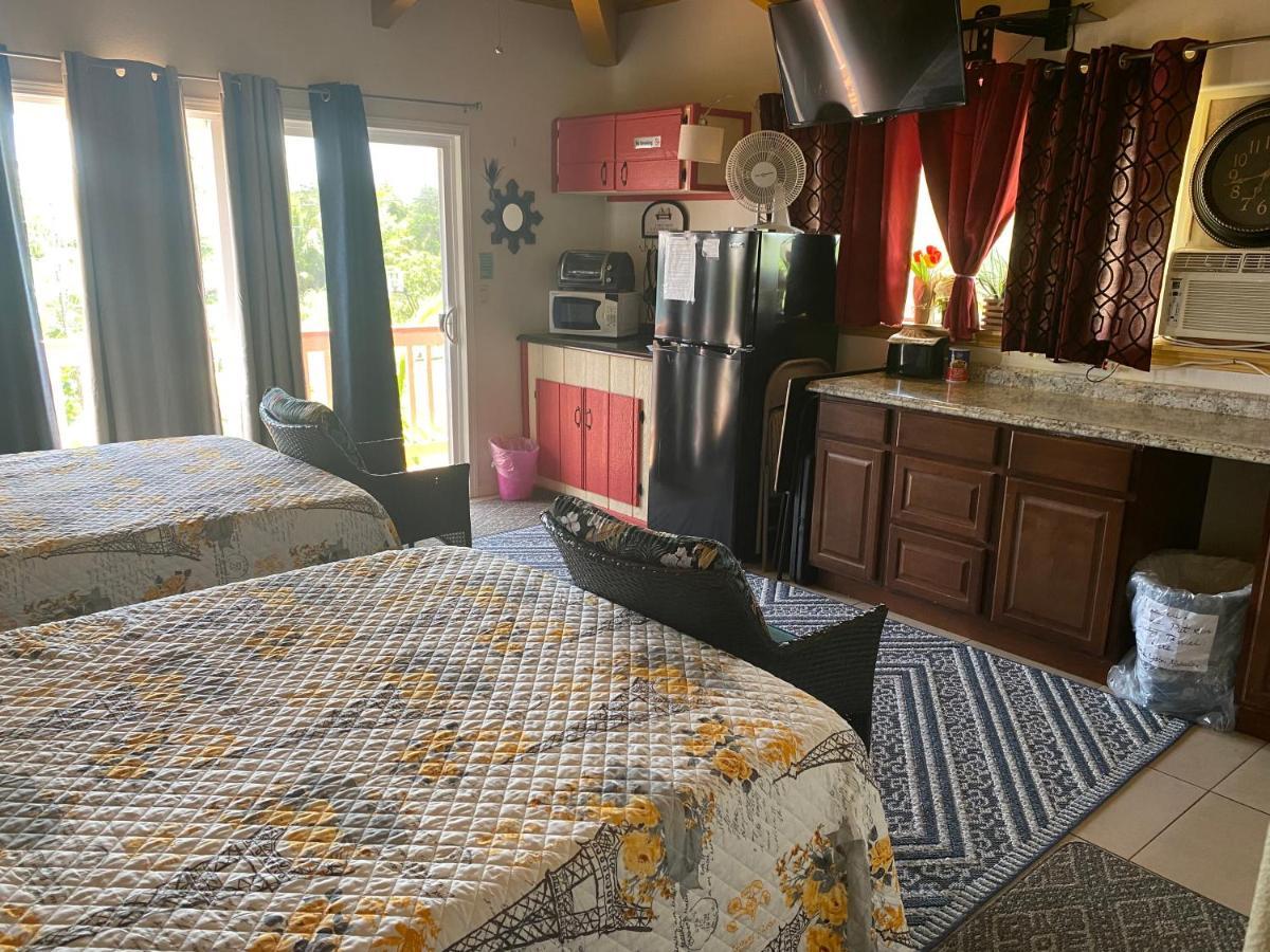 Nice Studio w/ AC near Kehena Beach&lava fields Zewnętrze zdjęcie